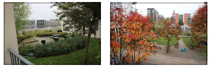 Fig 24.