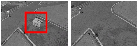 Fig. 3. Fig. 3.